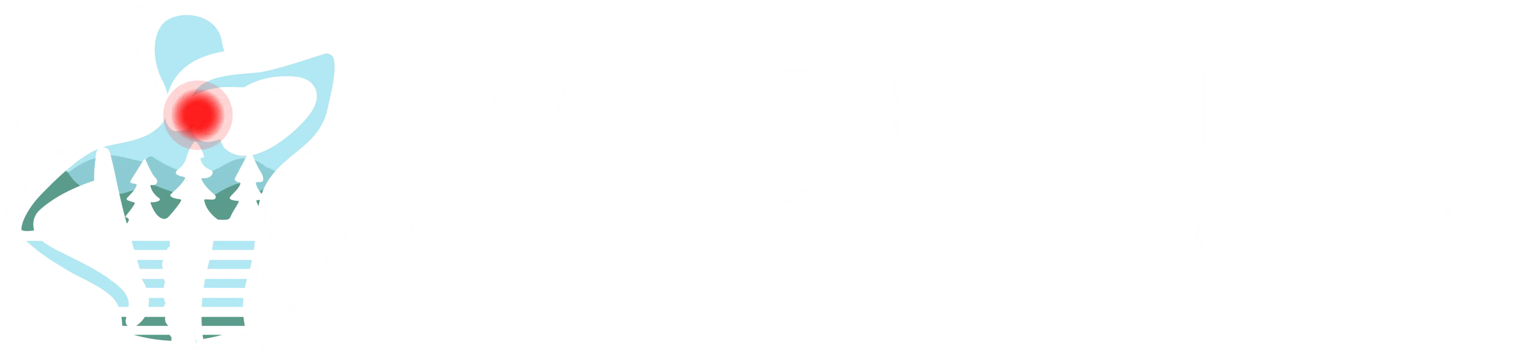 Back In Shape Chiropractic