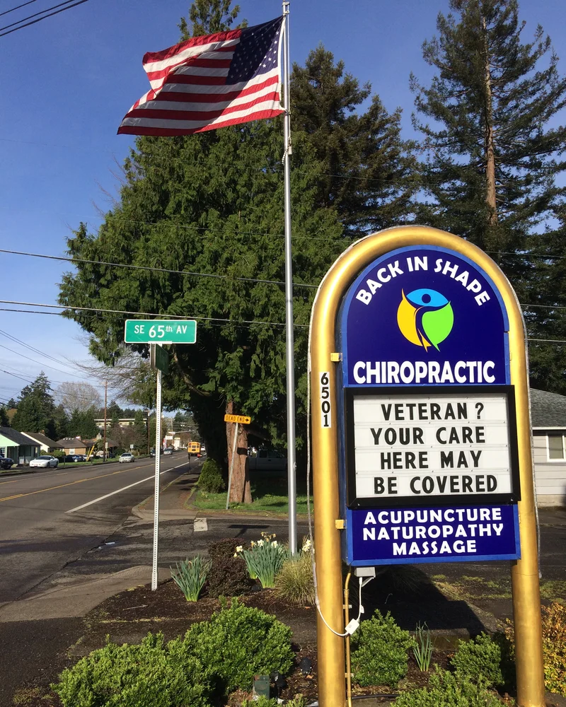 Patient performing guided resistance exercise therapy at Back In Shape Chiropractic